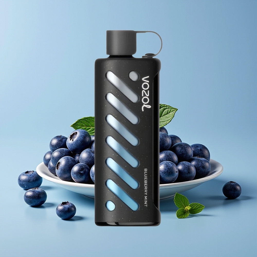 VOZOL Gear Shisha 25000 Hisap Bluberi Pudina