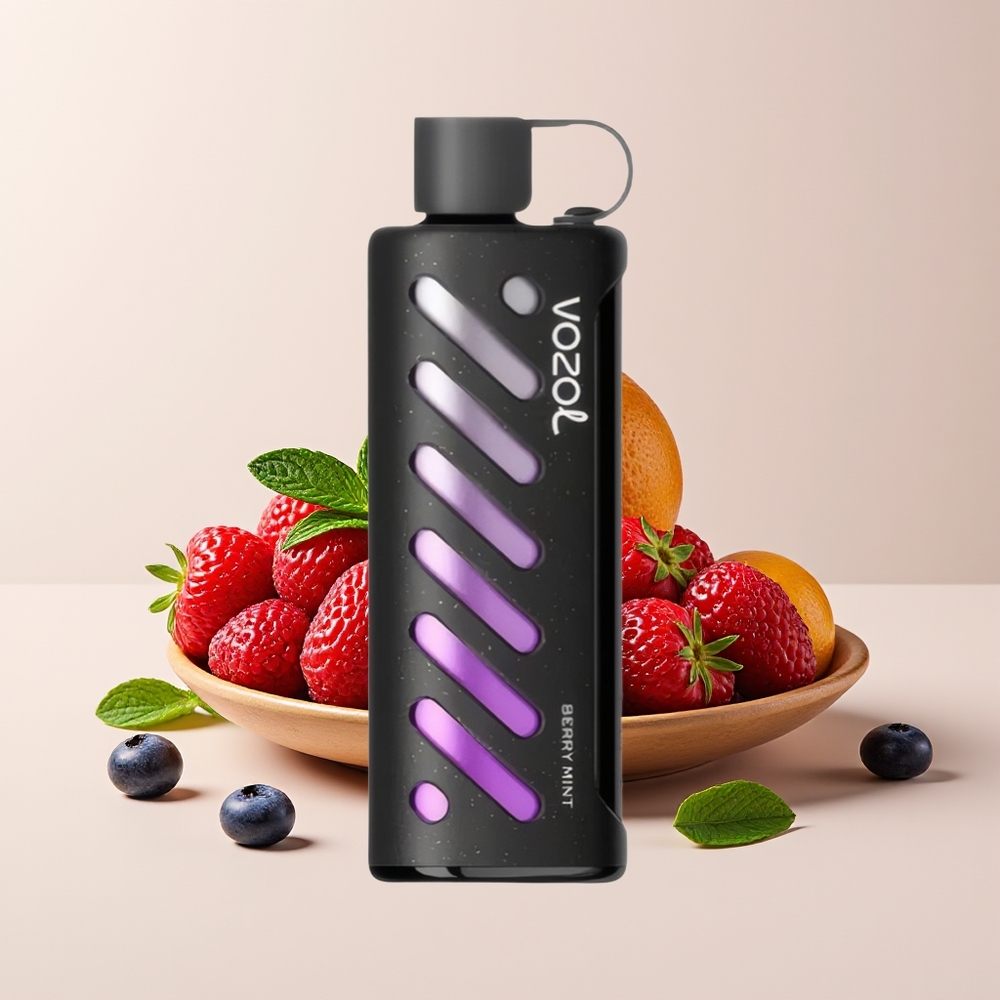 VOZOL Gear Shisha 25000 Hisap Dual Mesh Berry Pudina