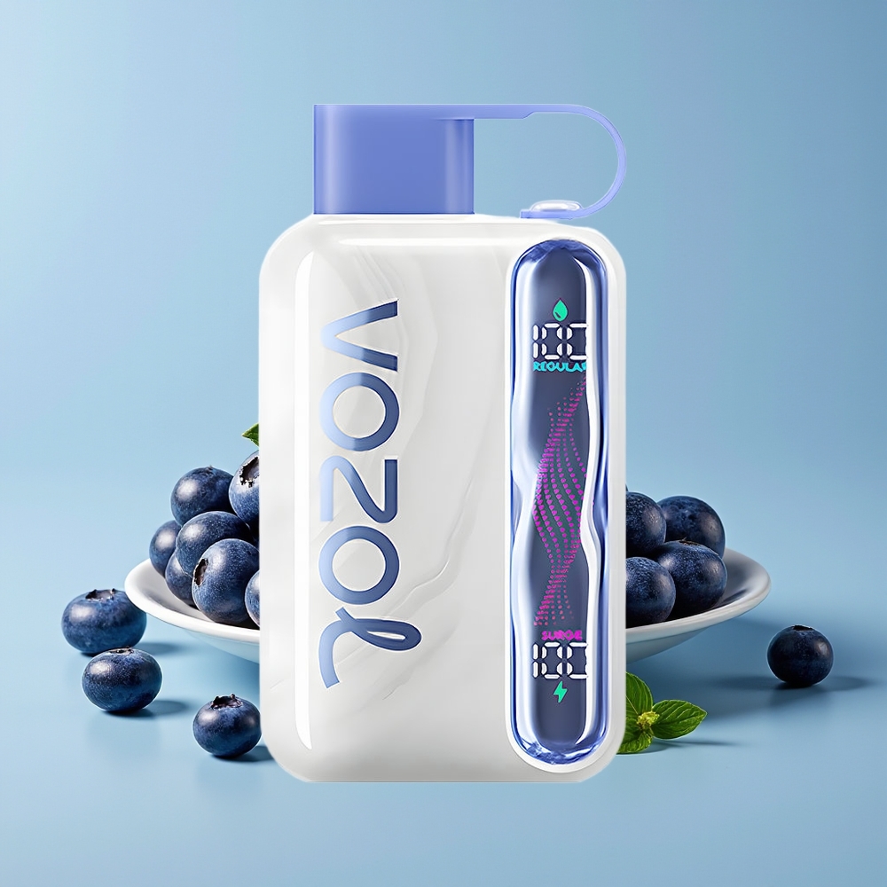 VOZOL STAR 40000 Puff 1000mAh Type-C Bilberi Pudina