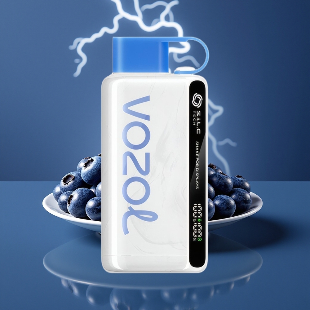 VOZOL STAR 9000/12000 Hisap Vape Ribut Blueberry