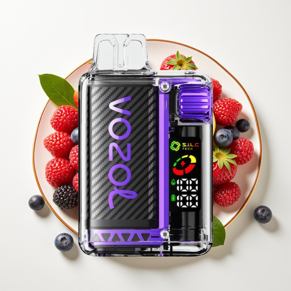 VOZOL Vista 20000 Puff Bateri Boleh Dicas Semula Skrin OLED Kuasa 6-Tahap Beri Campuran