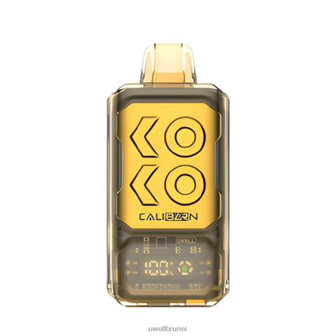 UWELL E Cig - UWELL CALIBURN bar s12000 vape pakai buang ais anggur 4FHXX285